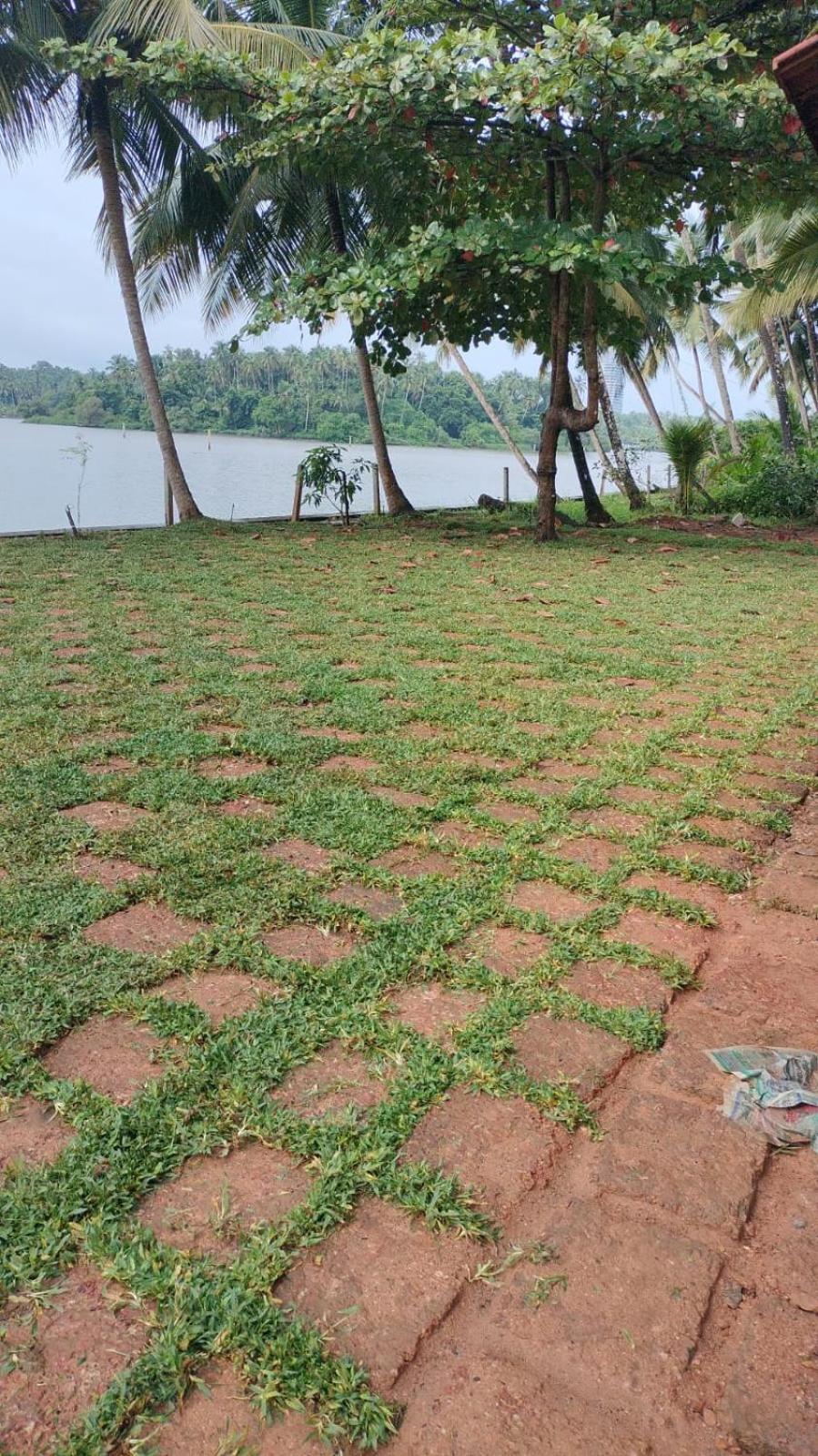 Villa Whispering Waters Kozhikode Esterno foto
